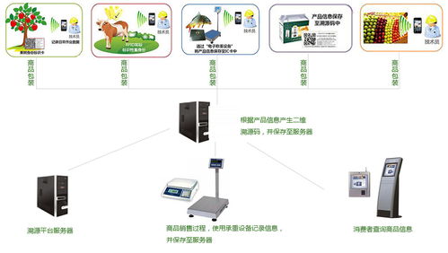 有機農產品安全質量溯源系統 信息系統集成服務的核心價值與實踐路徑